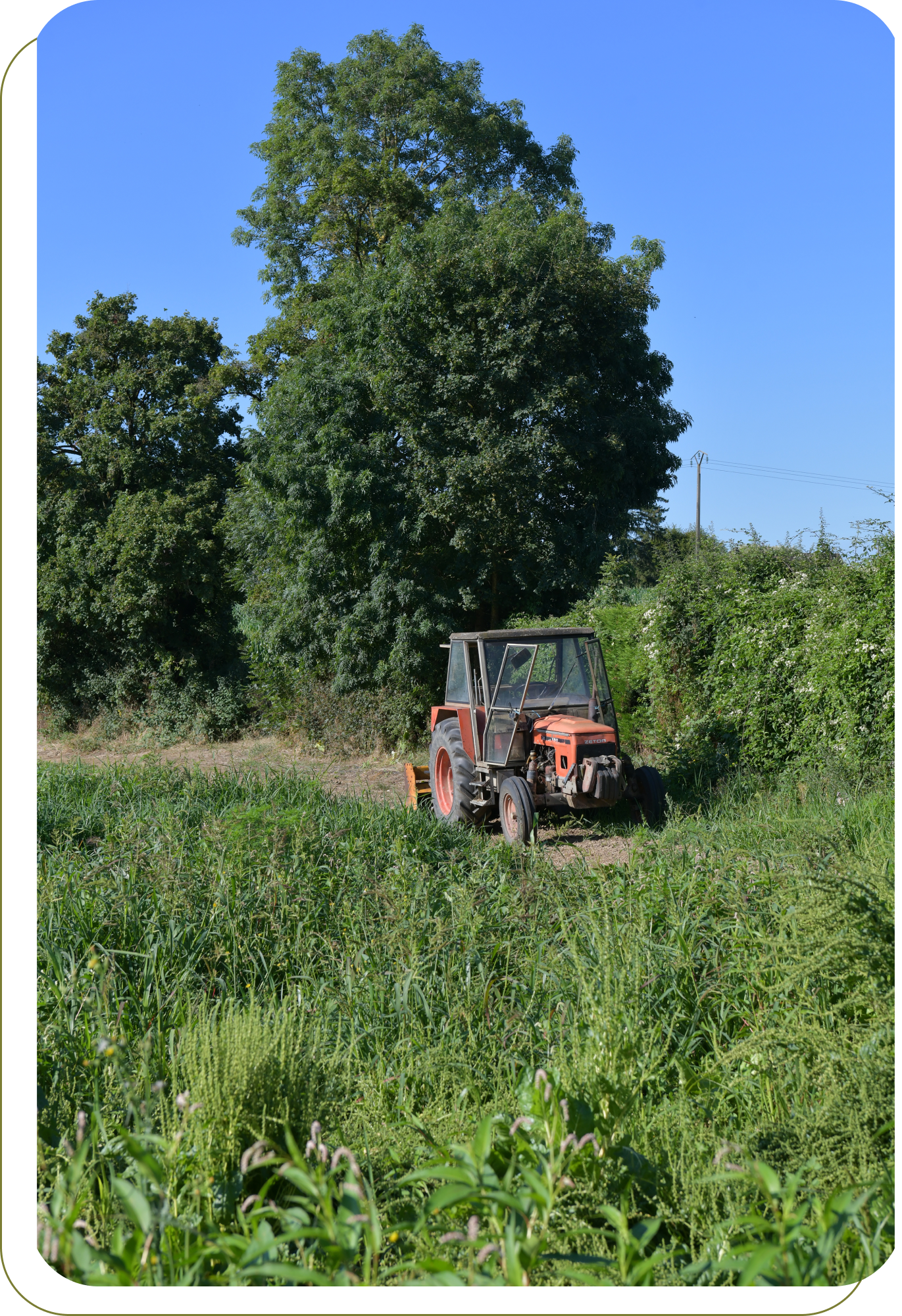 ferme saint georges à jons fabrice schiff